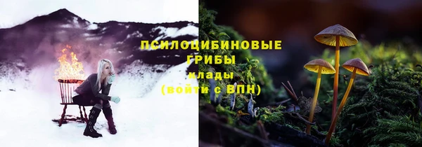 jwh Алзамай