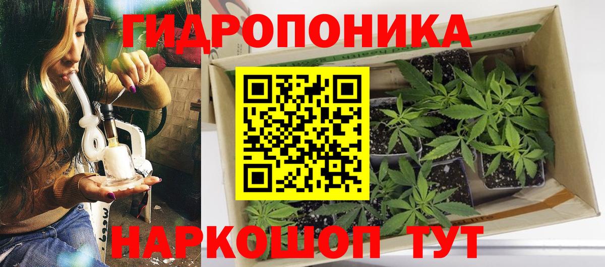 Каннабис AK-47 Сосновый Бор